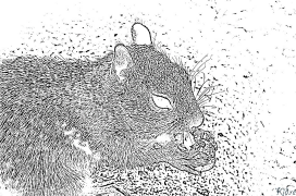 peanut Leathanaigh Dathúcháin Inphriontáilte